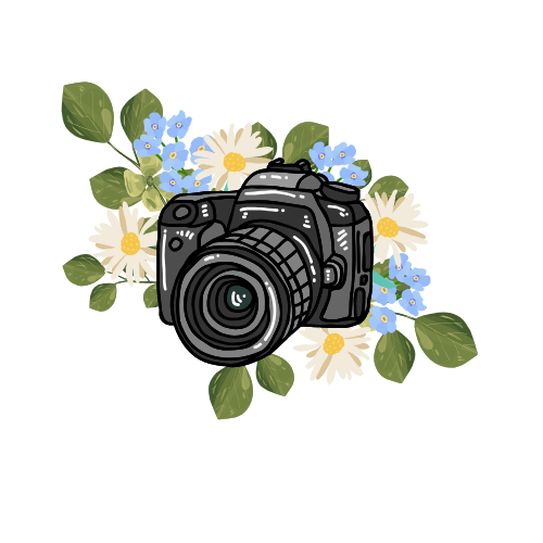 Photography Session Slots