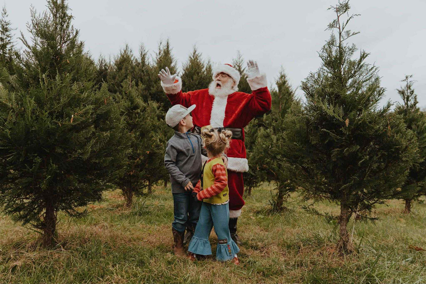 Santa Greenhouse Minis