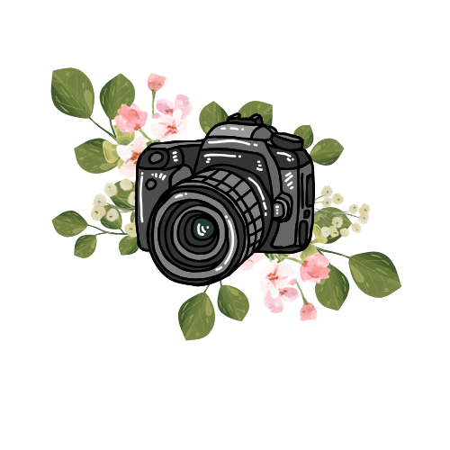 Weeknight Photography Session